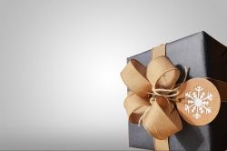 AVANTAGE ADHERENT - Catalogue offres spéciales fêtes de fin d'année - 12 - Nos partenaires et prestataires labellisés FNCV - Vitrines de France